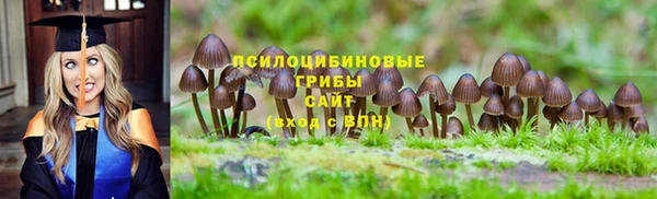 мескалин Осташков