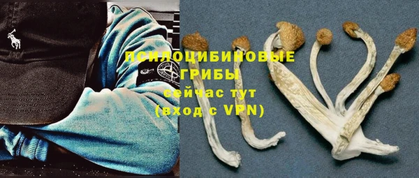 мескалин Осташков